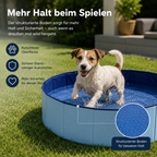 PfotenOase Abkühlpool