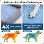 Kühlmatte mit Eisseiden-Technologie – Wo dein Hund zur Ruhe kommt